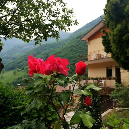Bellavista *